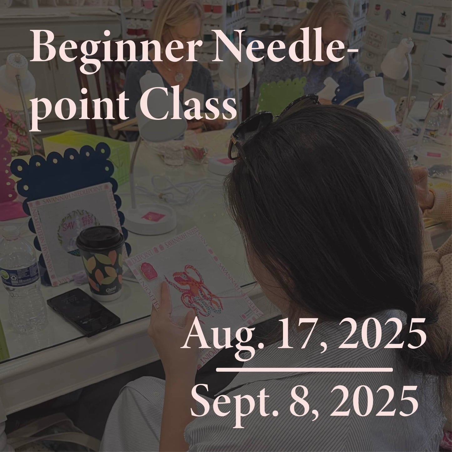 Beginner Needlepoint Class