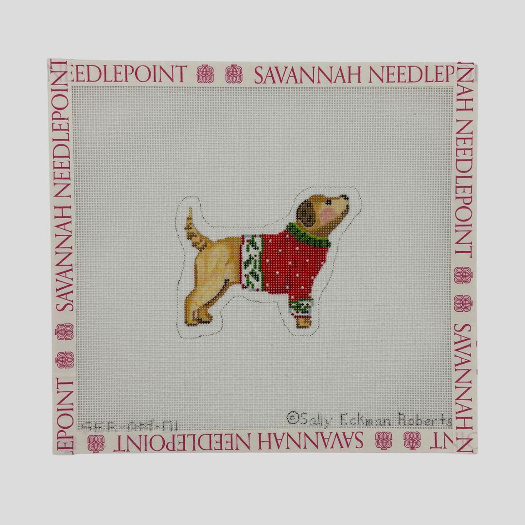 Yellow Dog in Red Sweater