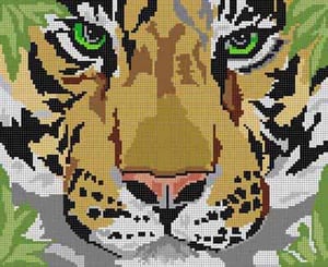 Tiger Face