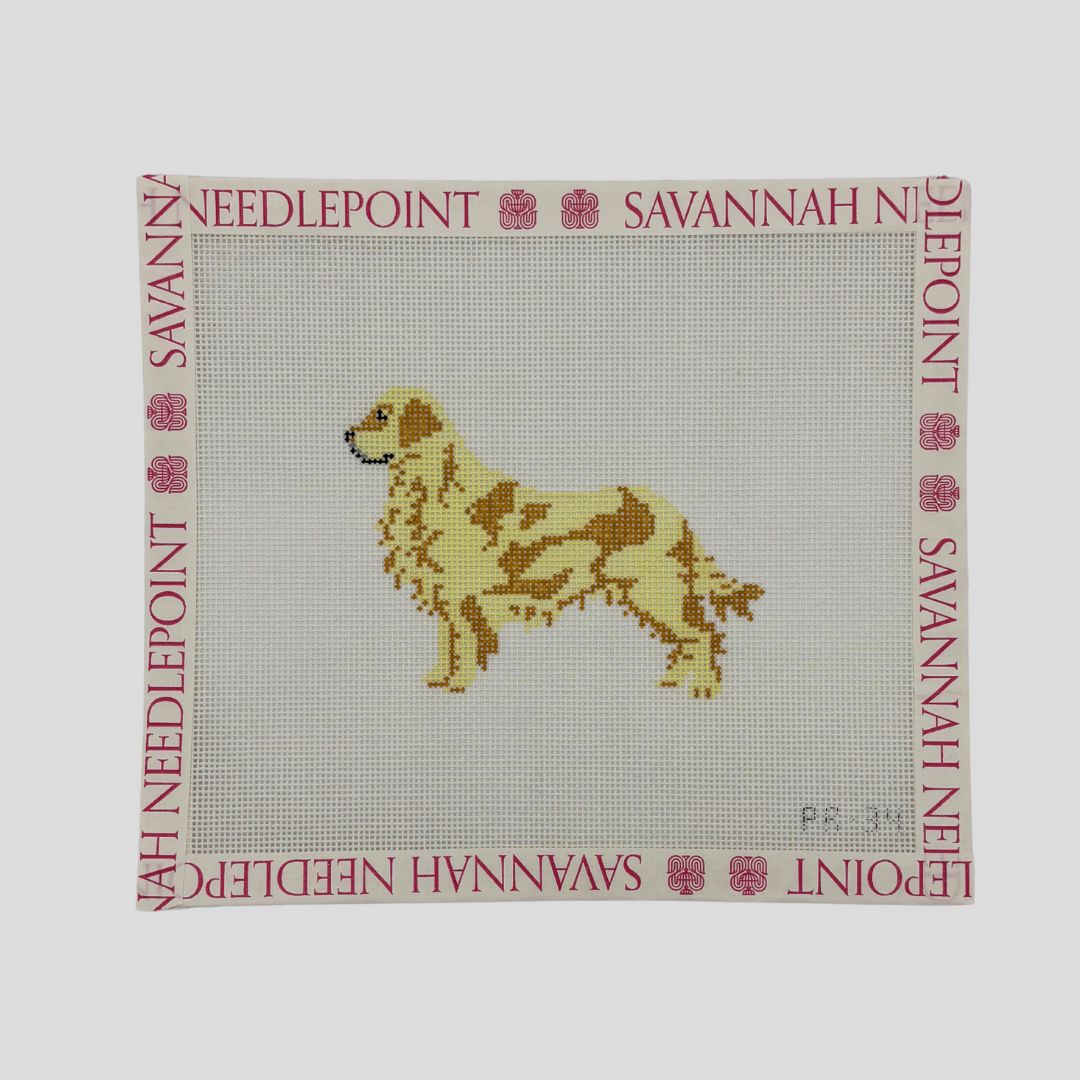 Golden Retreiver