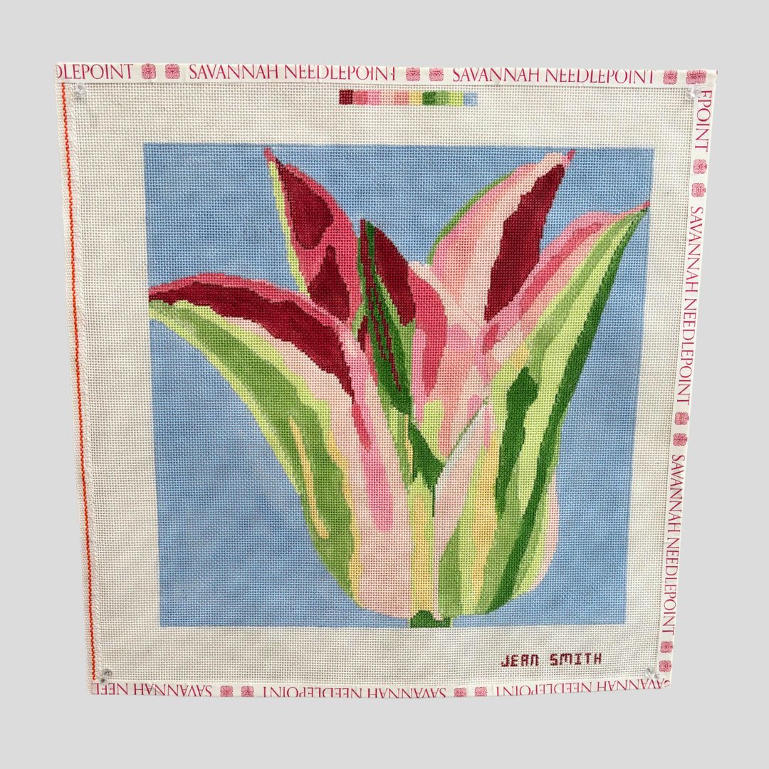 Pink and Green Tulip