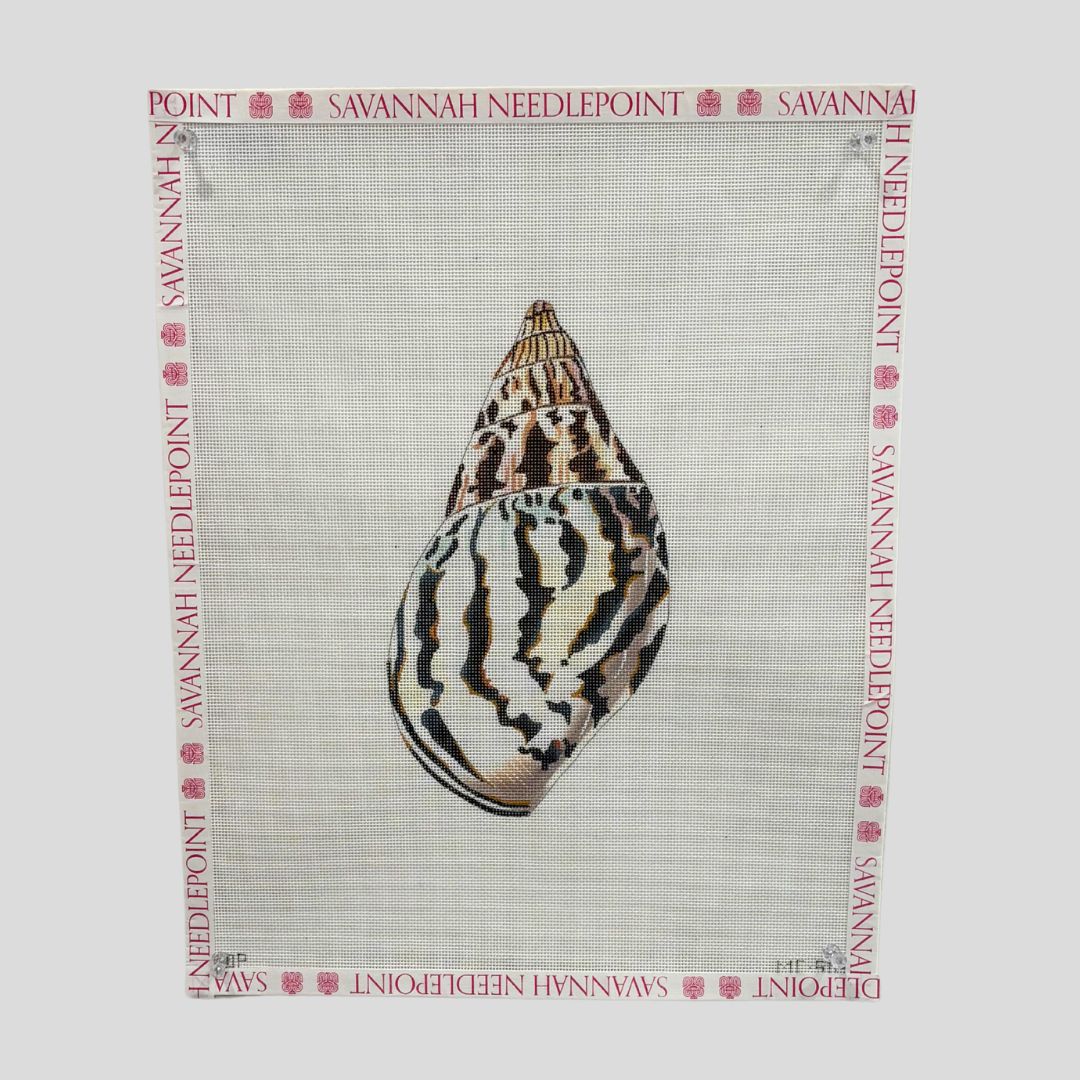 Seashell - Back