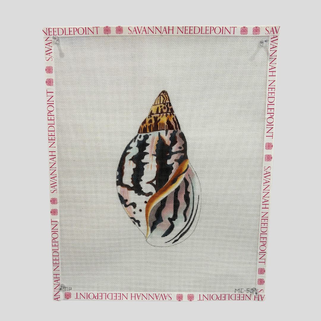 Seashell - Front