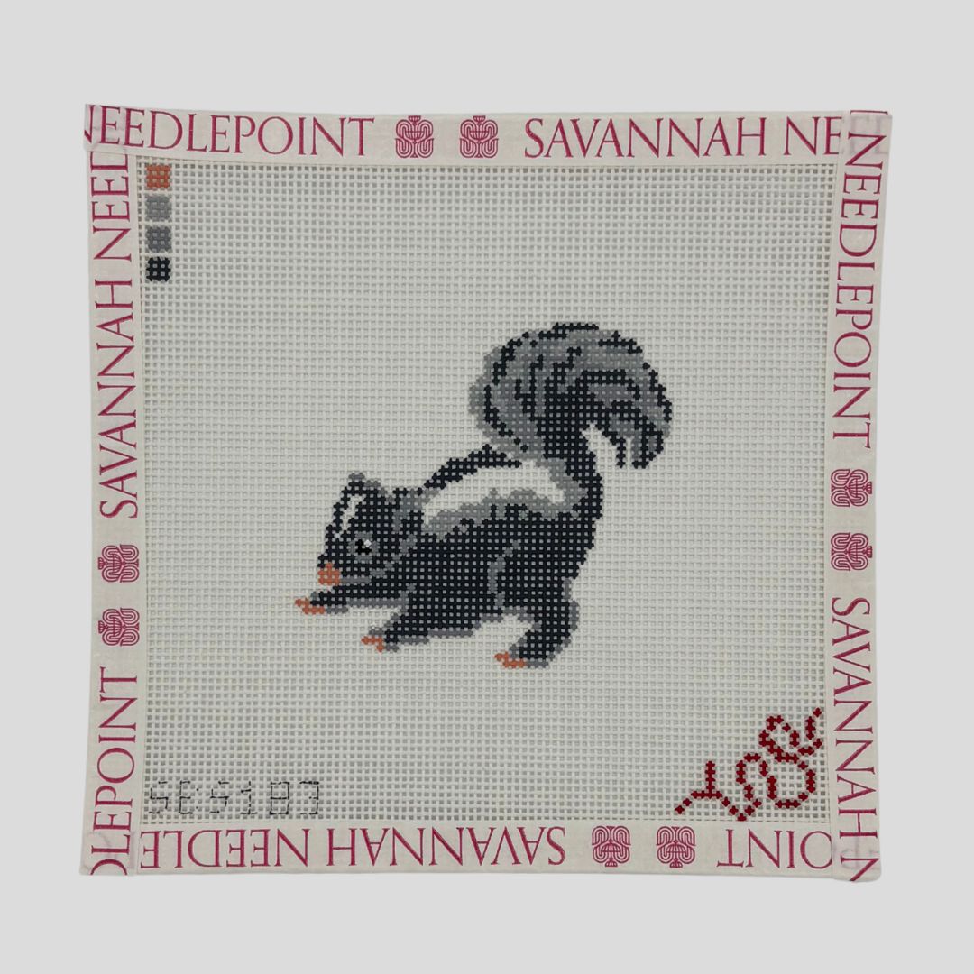 Baby Skunk
