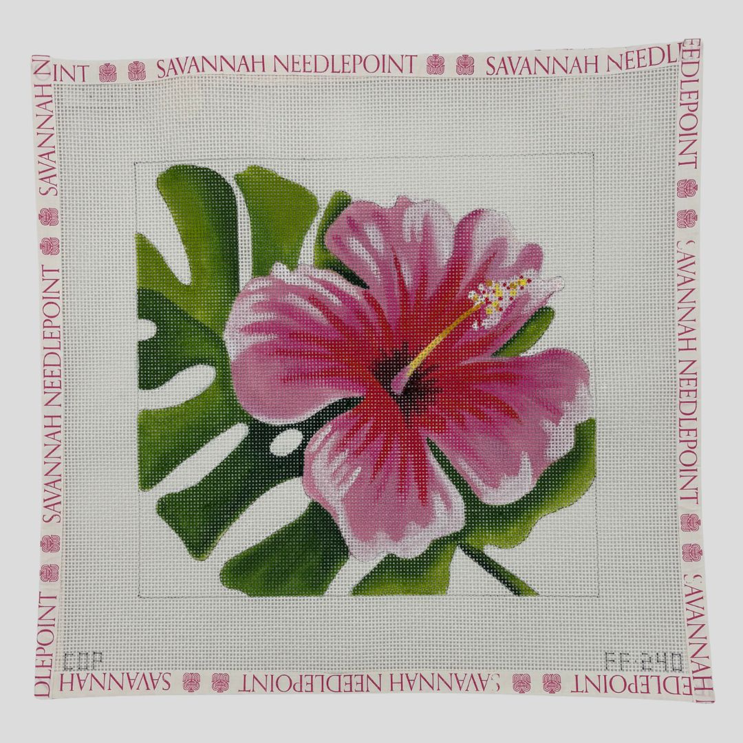 Hibiscus