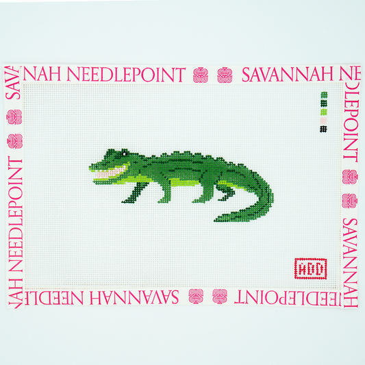 Alligator