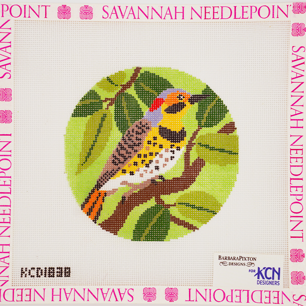 Flicker Bird