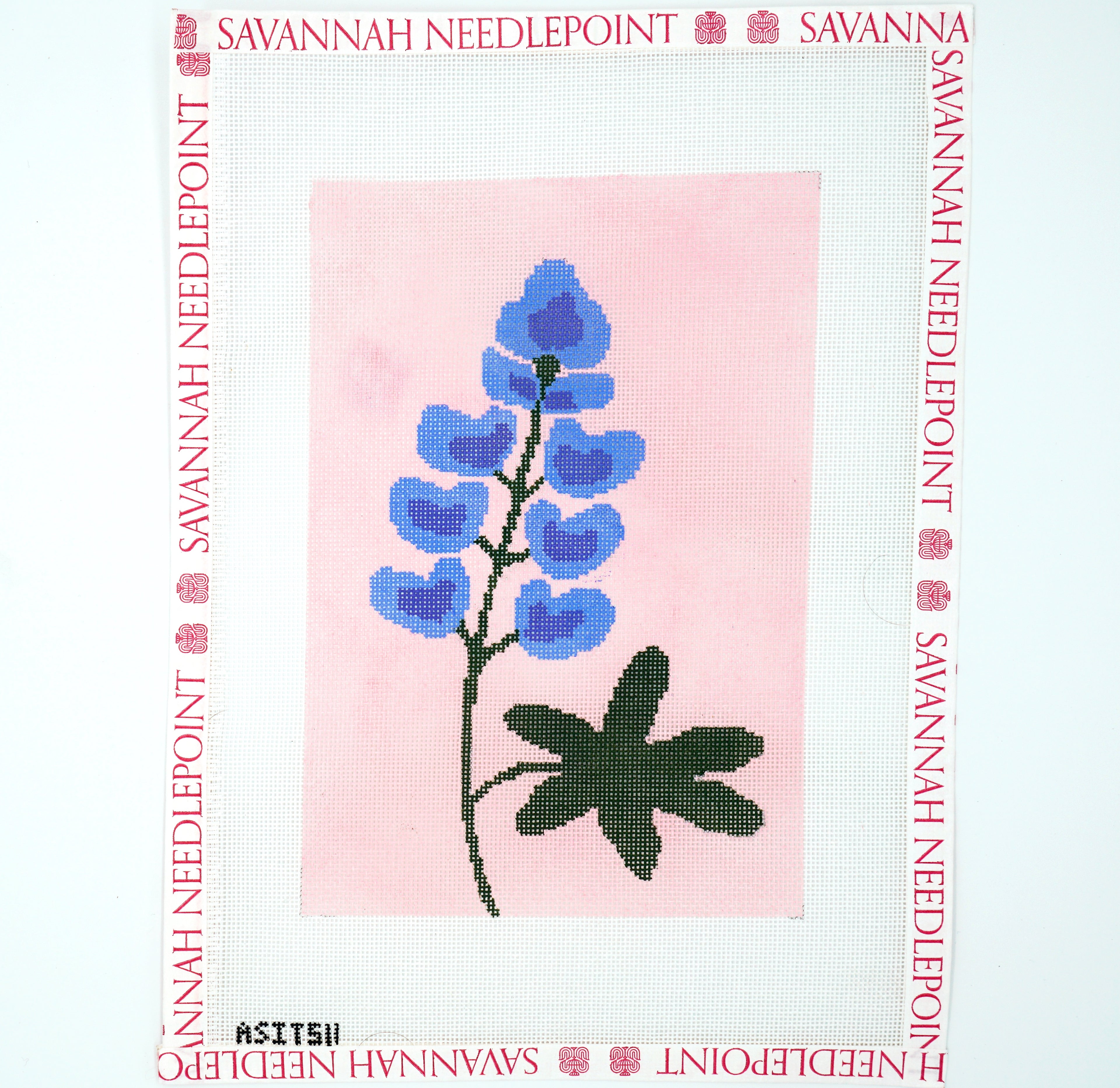 Blue Bonnet