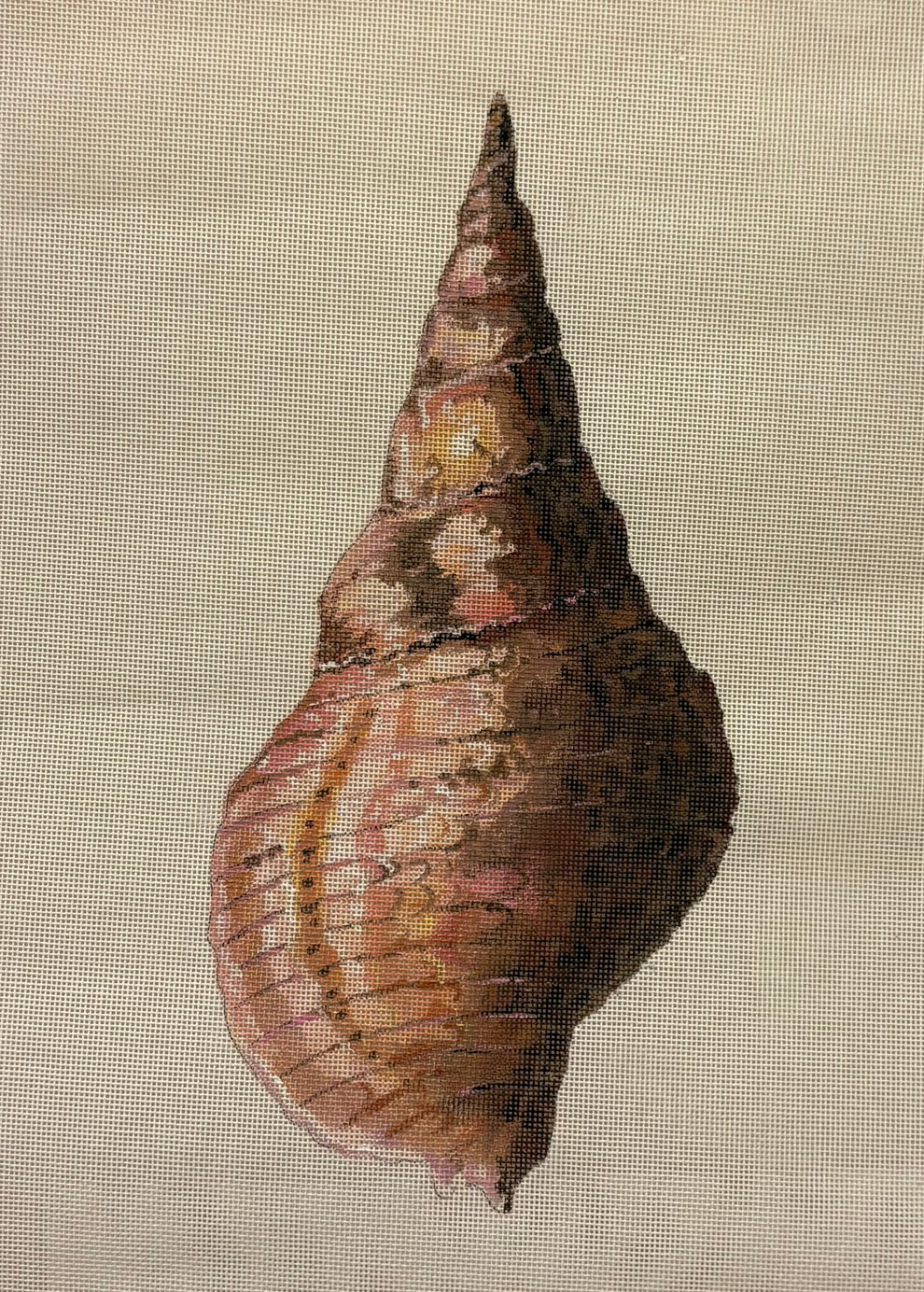 Conch Shell