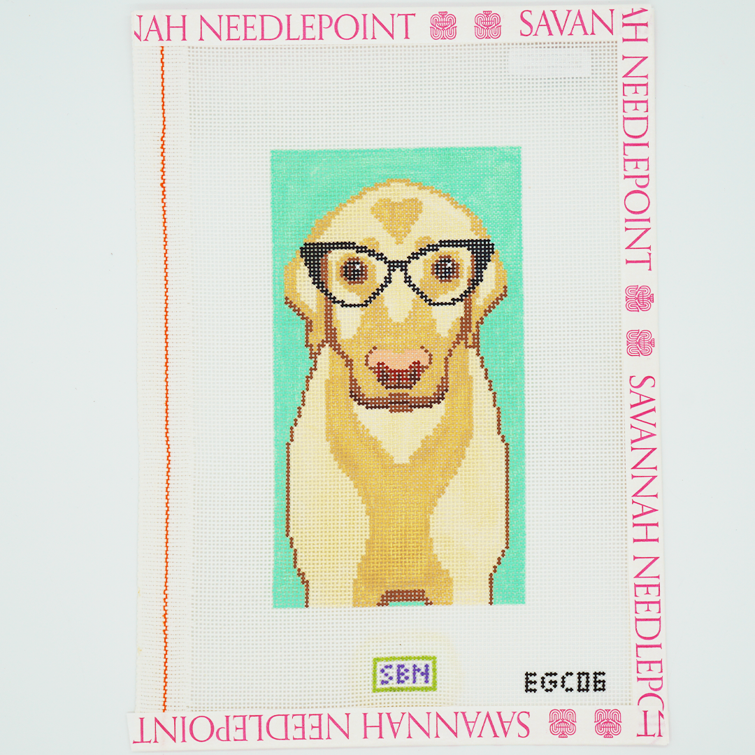 Yellow Lab with Glasses