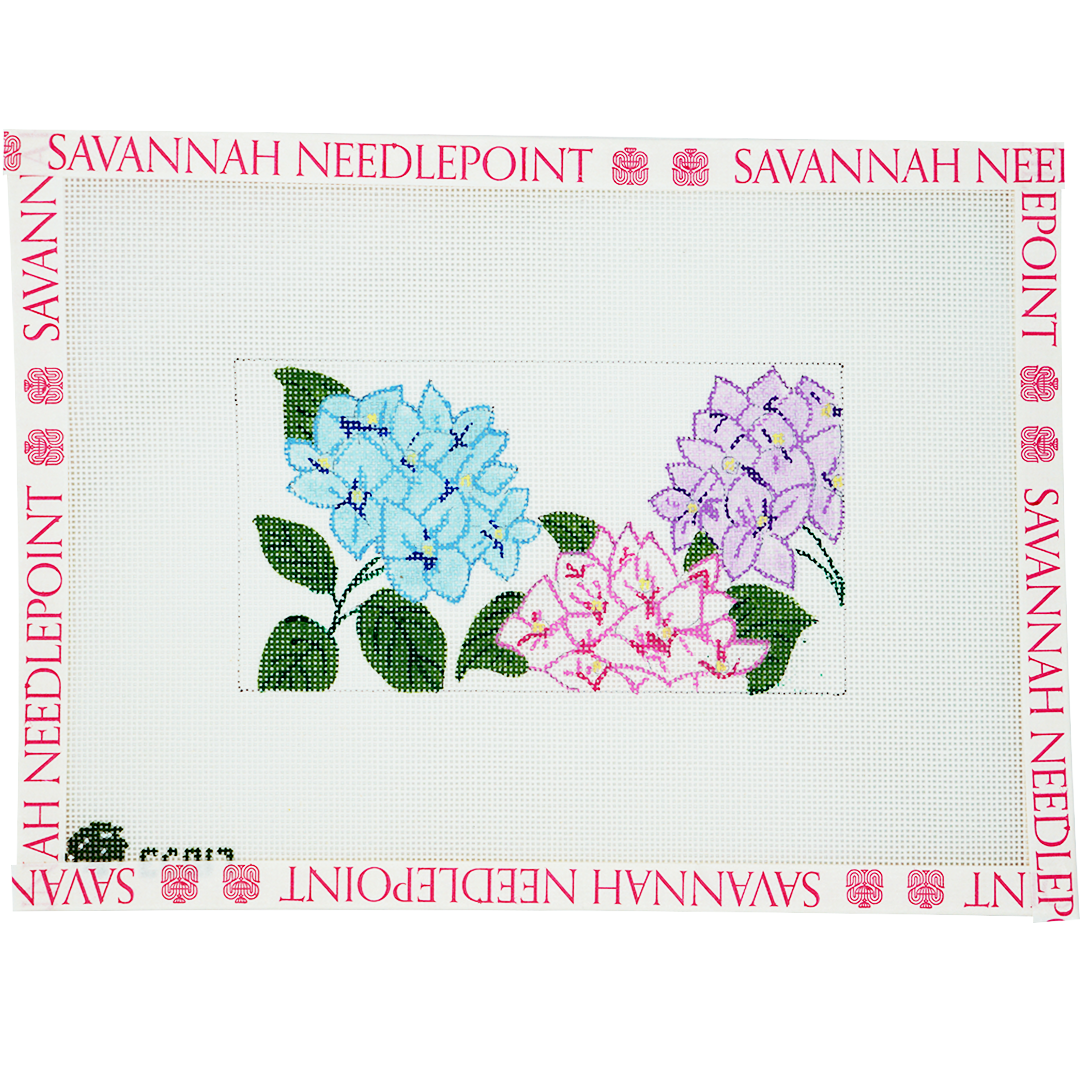 Hydrangea Blooms