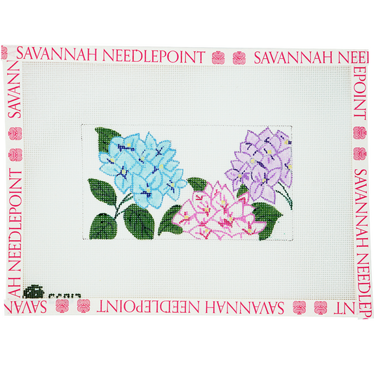 Hydrangea Blooms