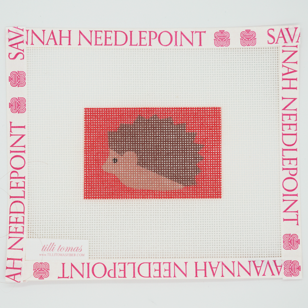 Hedgehog Insert