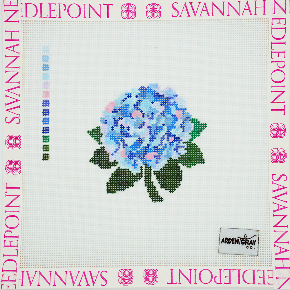 Hydrangea