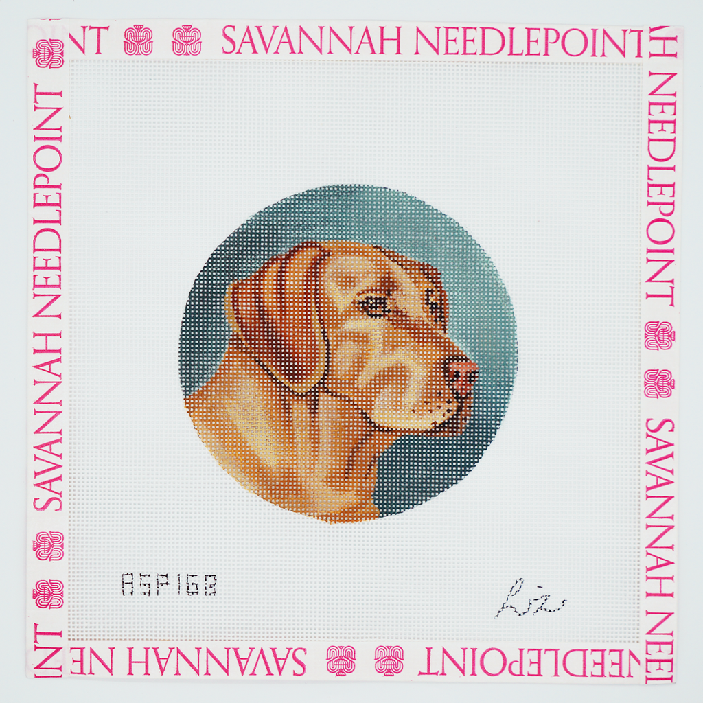 Labrador