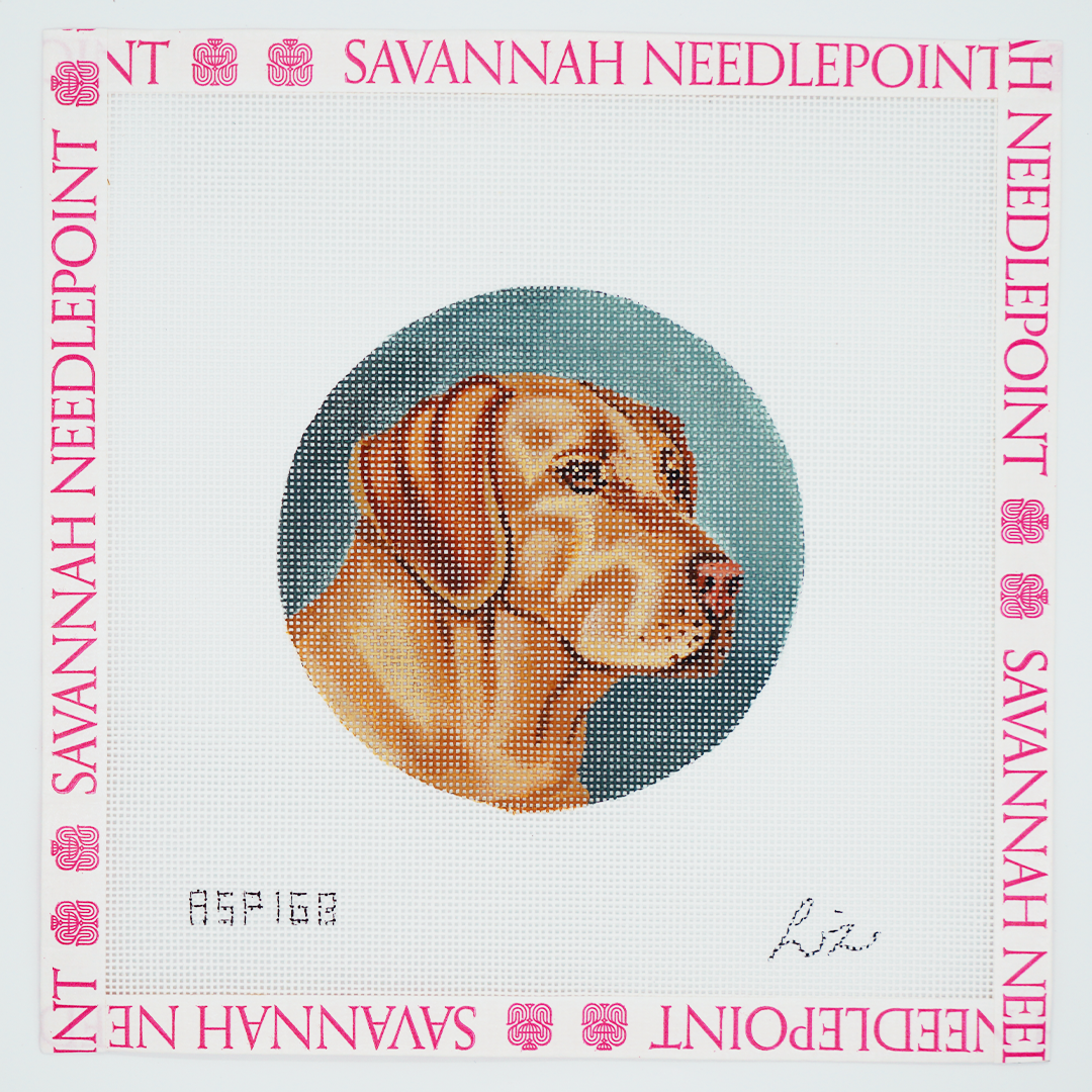 Labrador