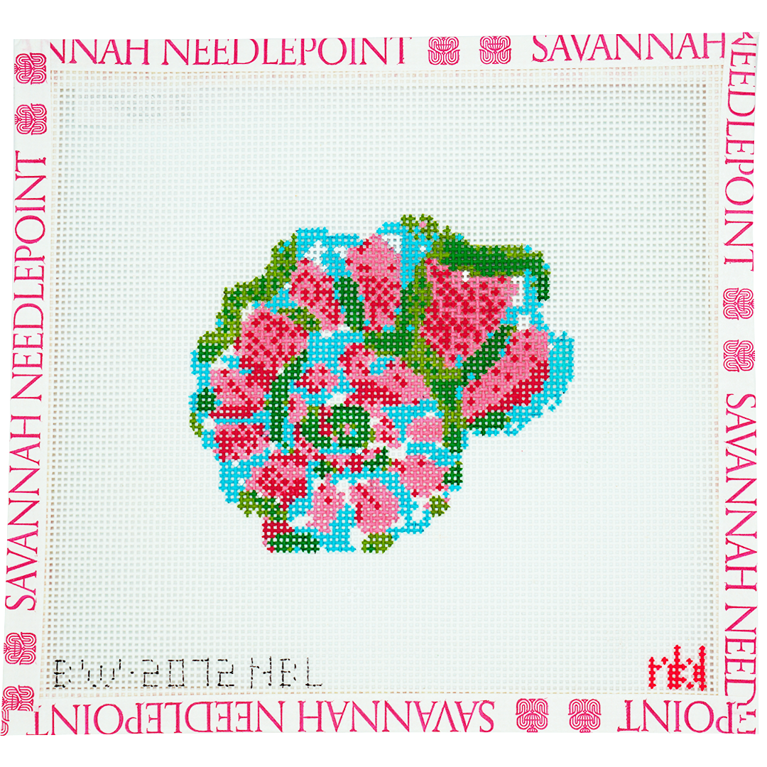 Nautilus Shell