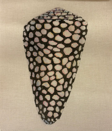 Speckled Shell