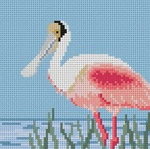 Spoonbill Square
