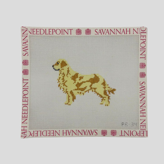 Golden Retreiver