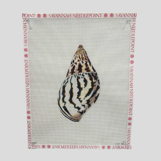 Seashell - Back