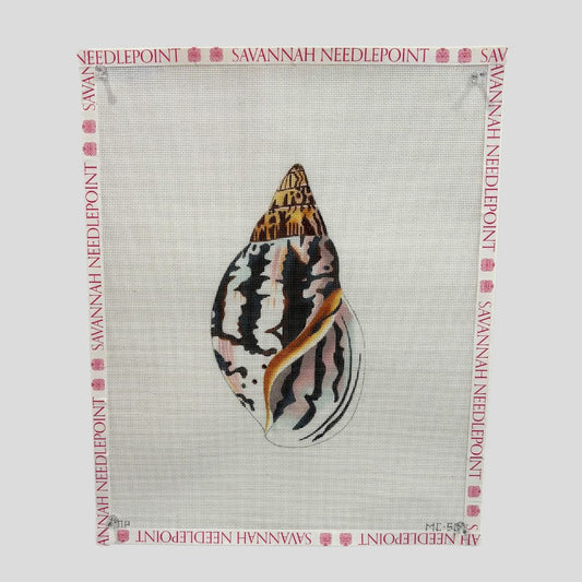 Seashell - Front