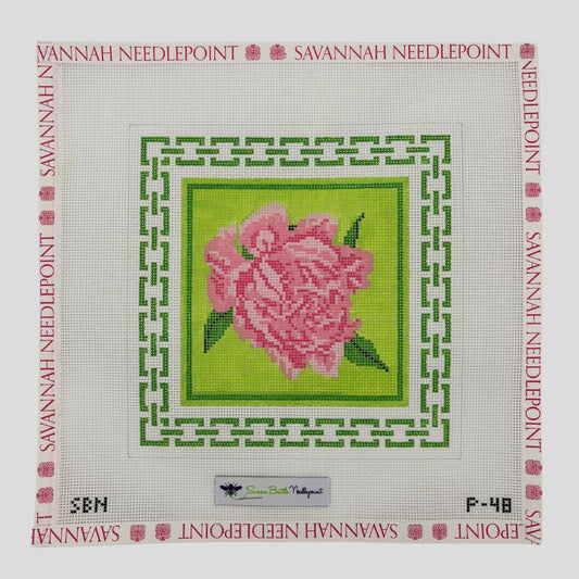 Pink Peony with Green Border